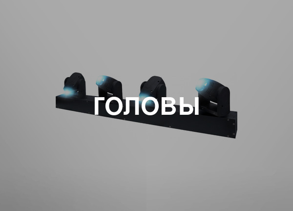 Головы